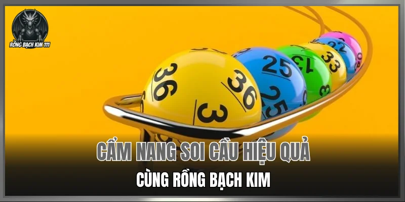 Cẩm nang soi cầu hiệu quả cùng Rồng Bạch Kim