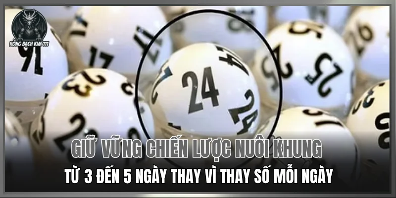 Giữ vững chiến lược nuôi khung từ 3 đến 5 ngày thay vì thay số mỗi ngày