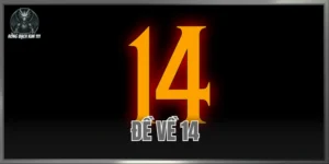 Đề Về 14