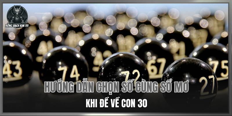 Hướng dẫn chọn số cùng sổ mơ khi đề về con 30