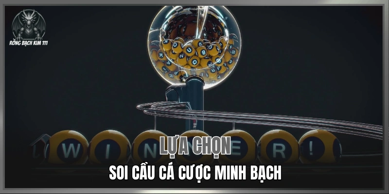 Lựa chọn soi cầu cá cược minh bạch