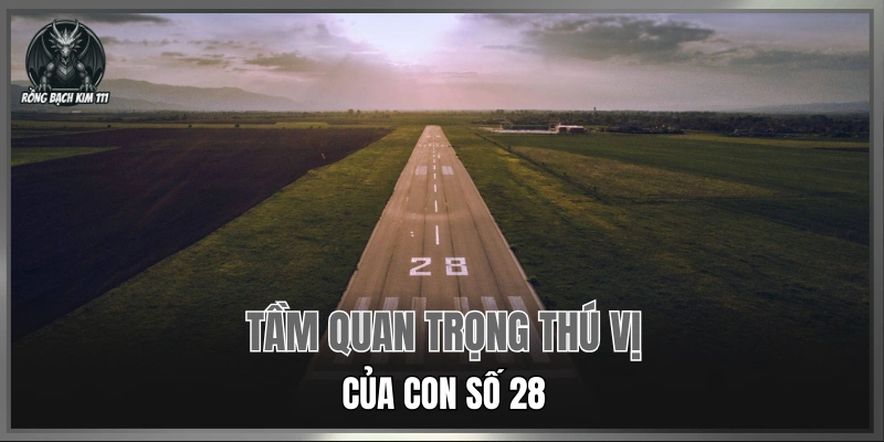Tầm quan trọng thú vị của con số 28