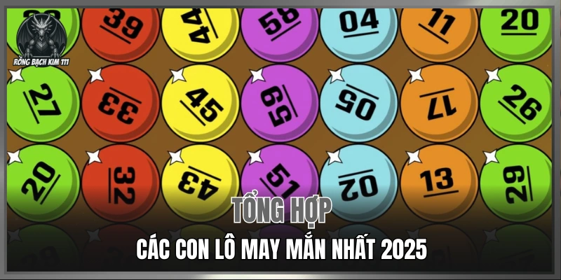 Tổng hợp các con lô may mắn nhất 2025